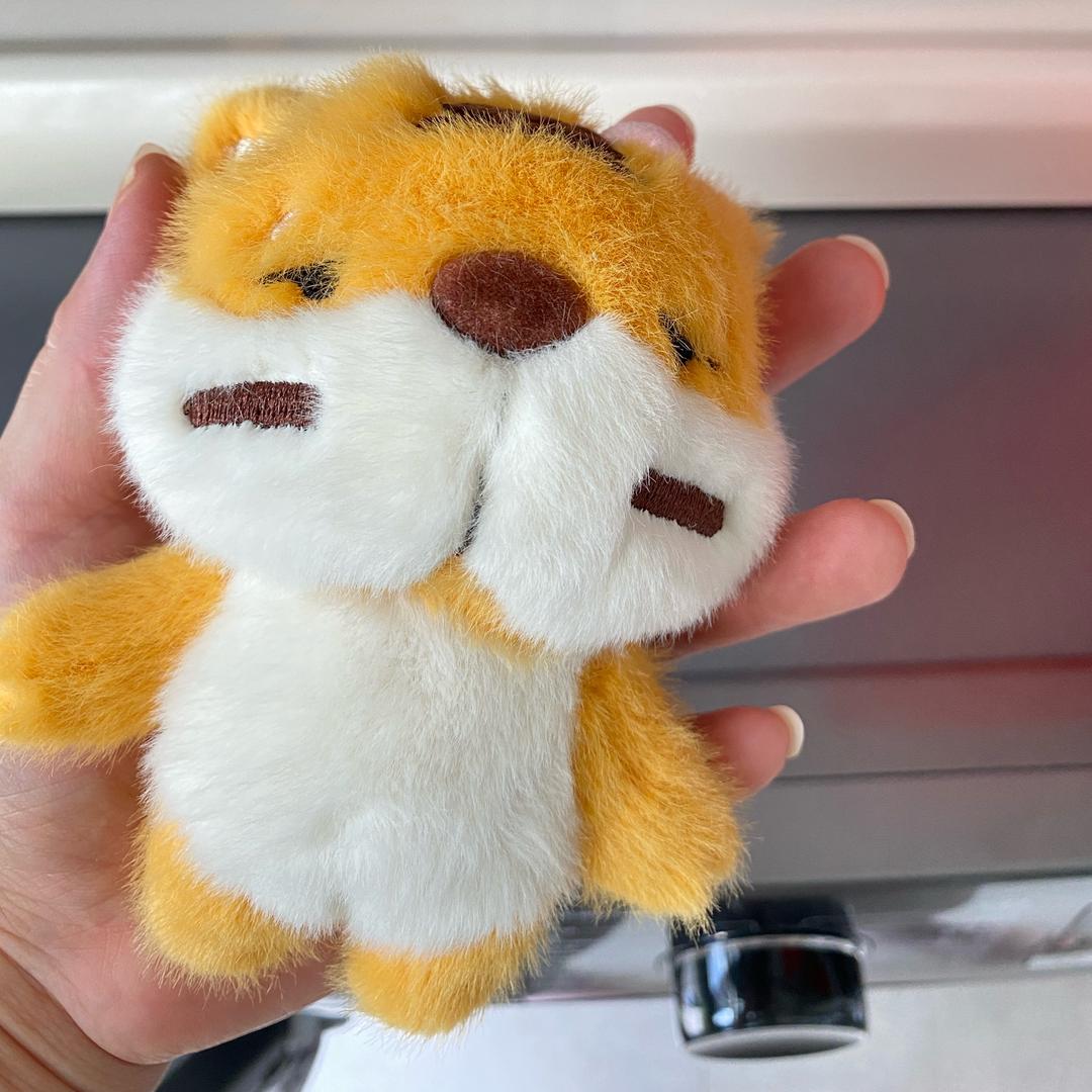 磊子爱红温🦋ঞ