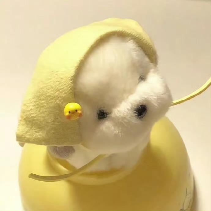 yy减肥日记