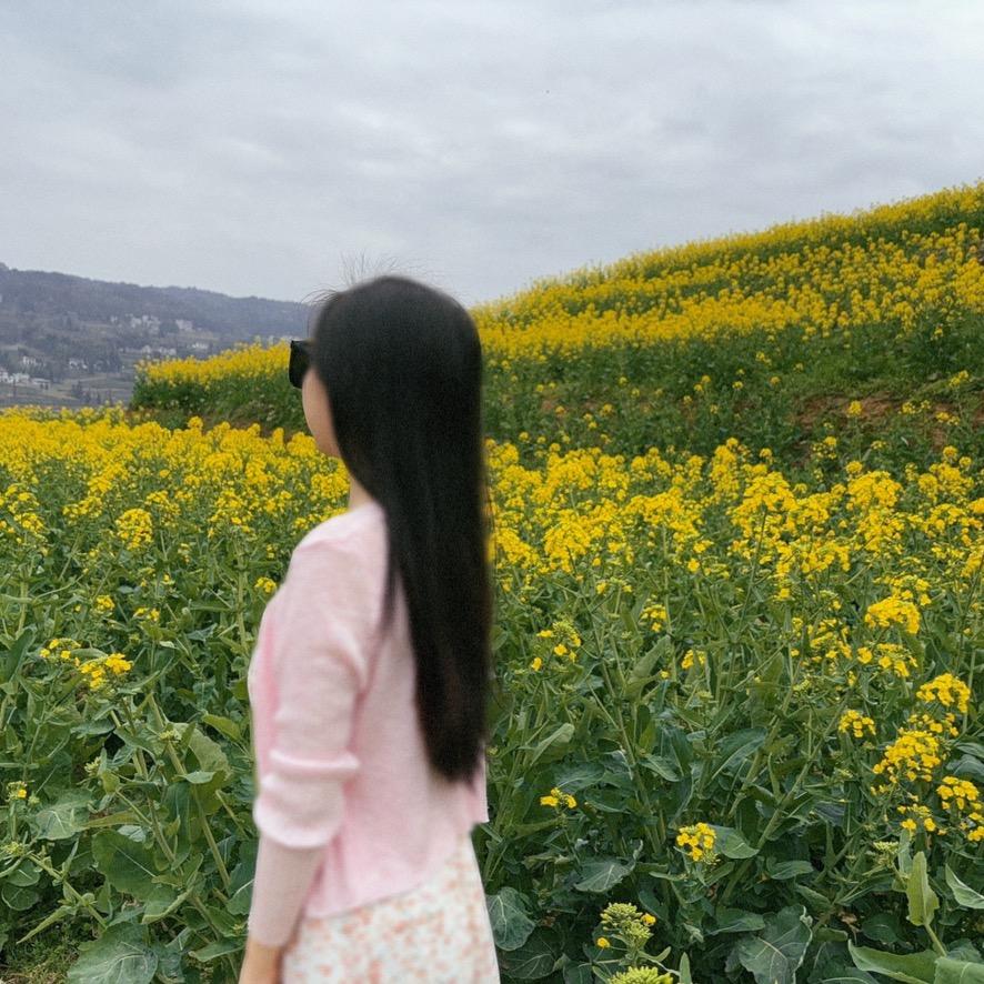 田柒柒
