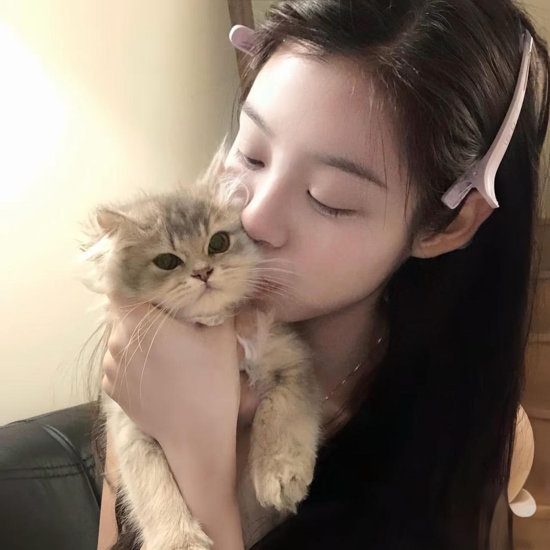性感母蟑螂