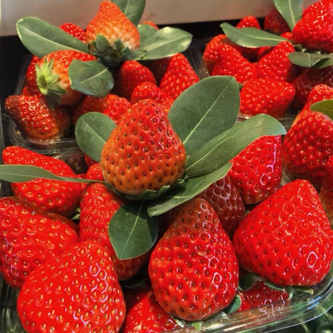 鲜丰水果(保利梧桐语轩店)