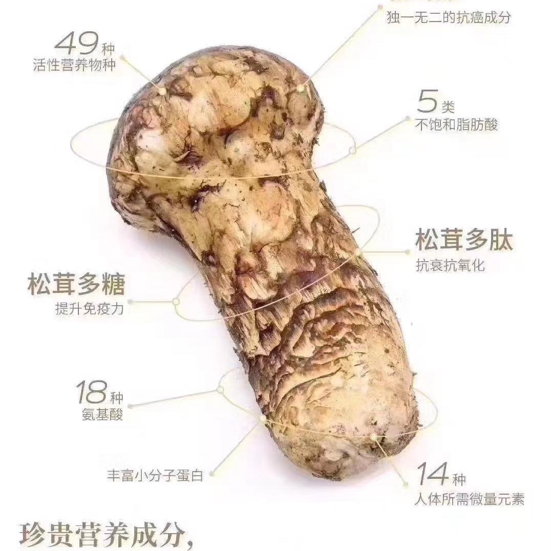 令尹第【美食当前】
