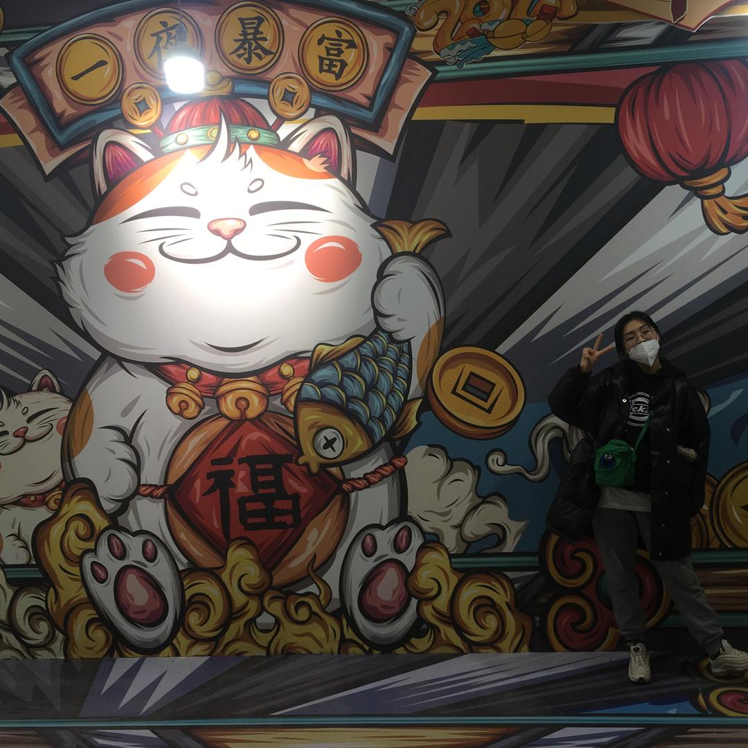 秦安布凡窗帘 高晨