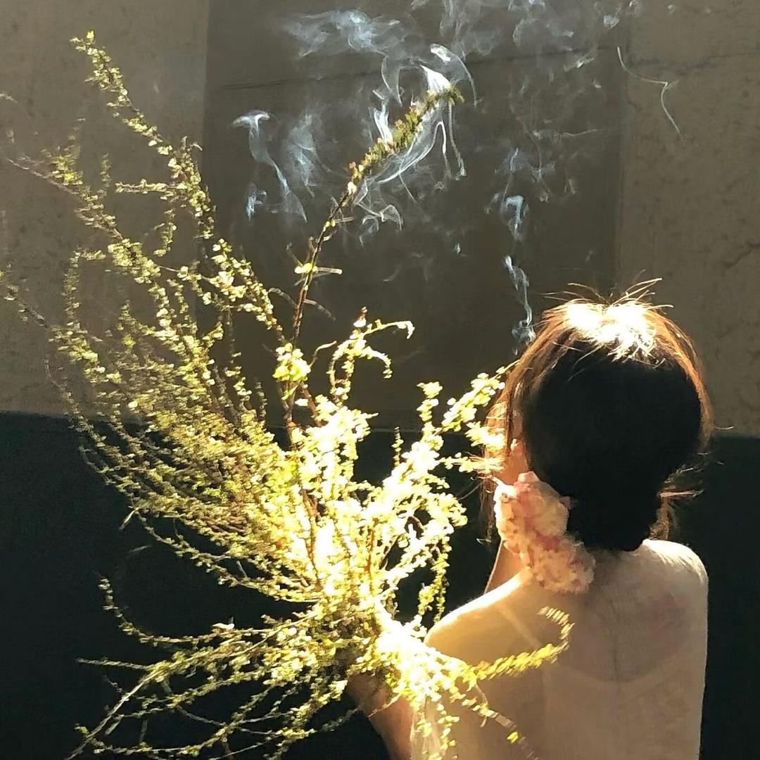 Teacher Wᴗ·ᰔᩚ ✨