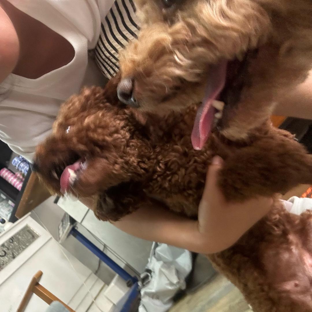 W倩🧸（小施羽麻麻）