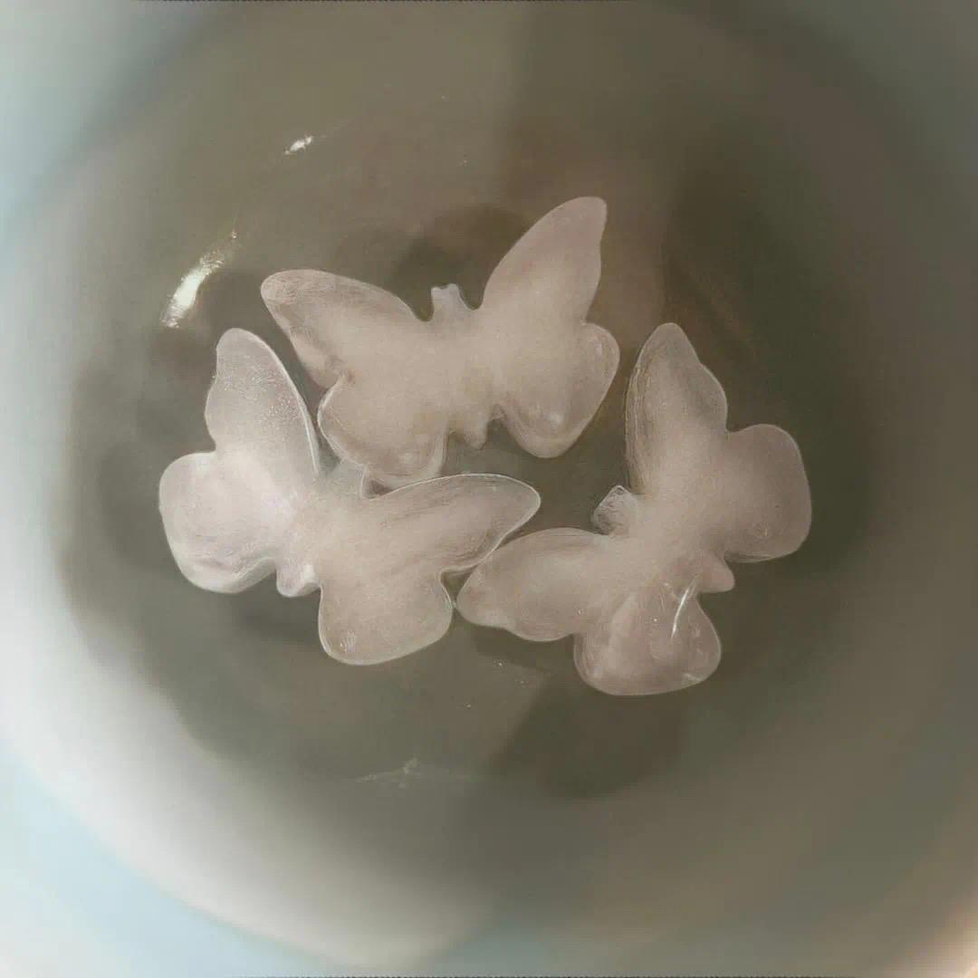 小猫叫狗狗U•·•U🍔