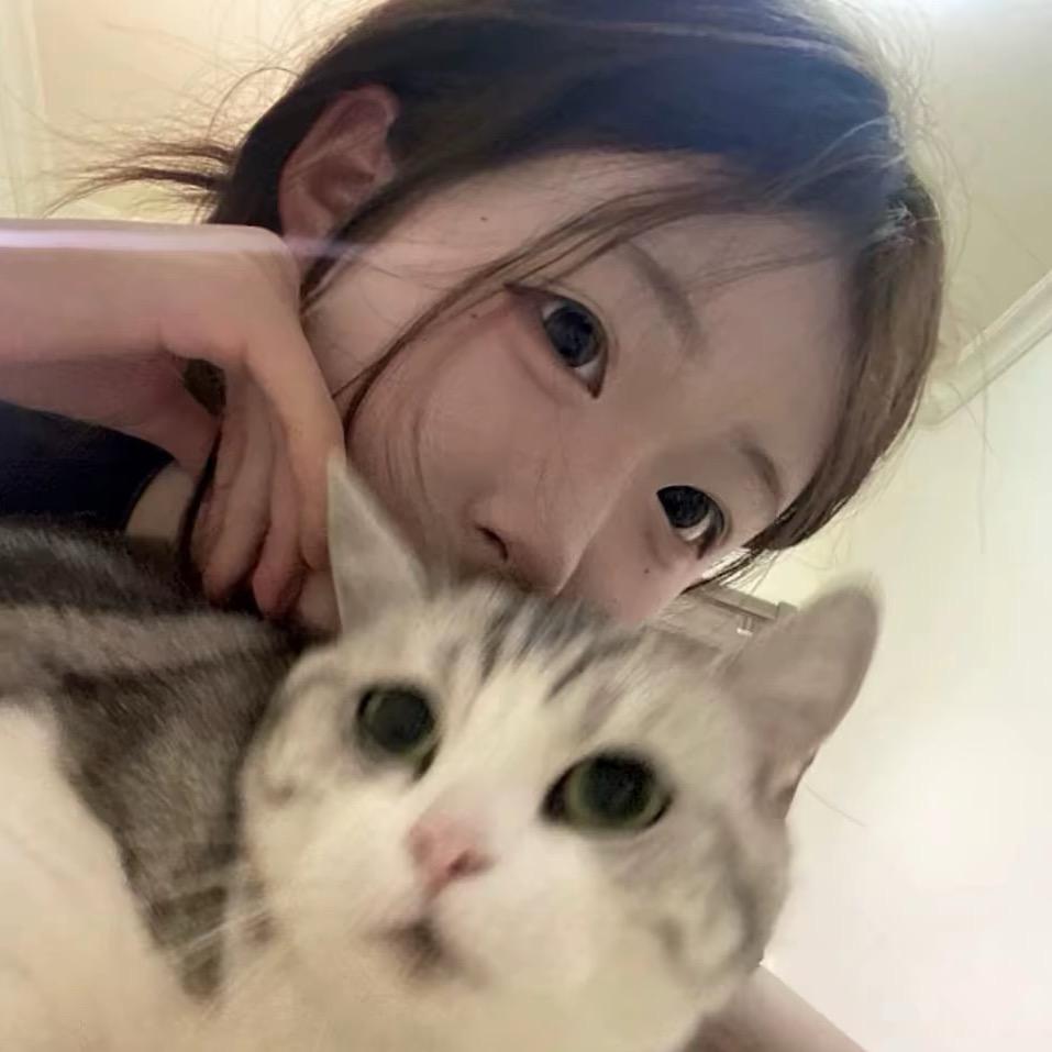小布丁.💤