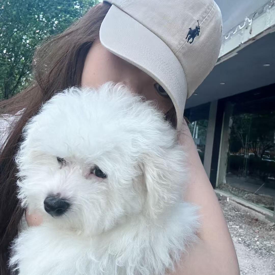发财包包