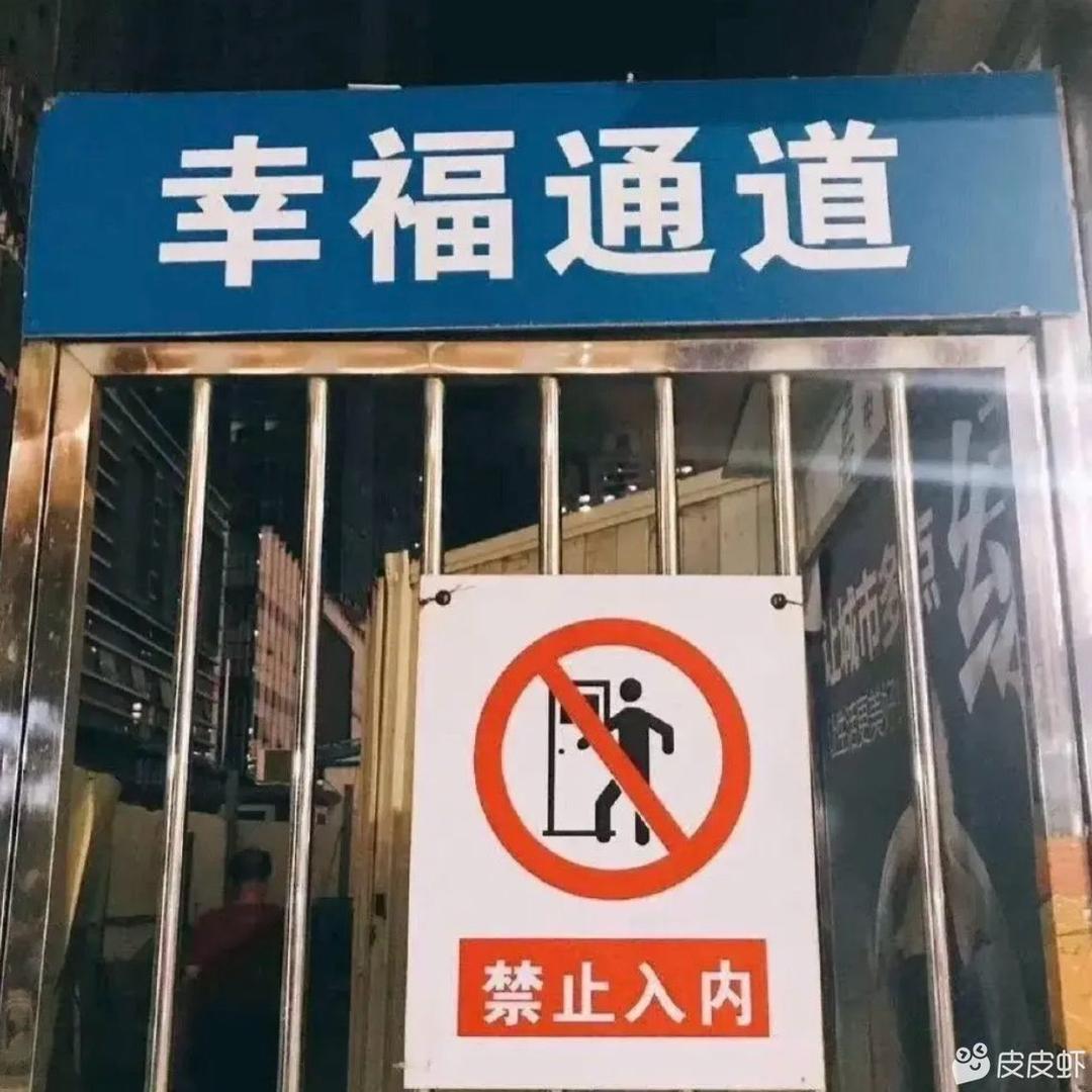 六与青蜓