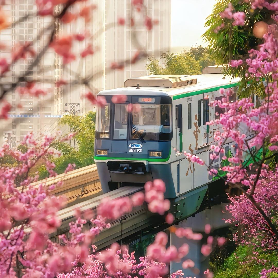 吃不胖的朱