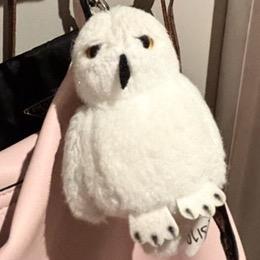不能