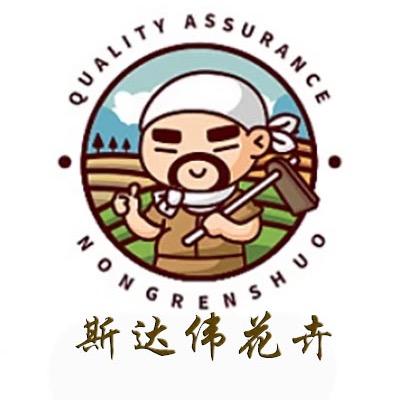 斯达伟竹苗花卉