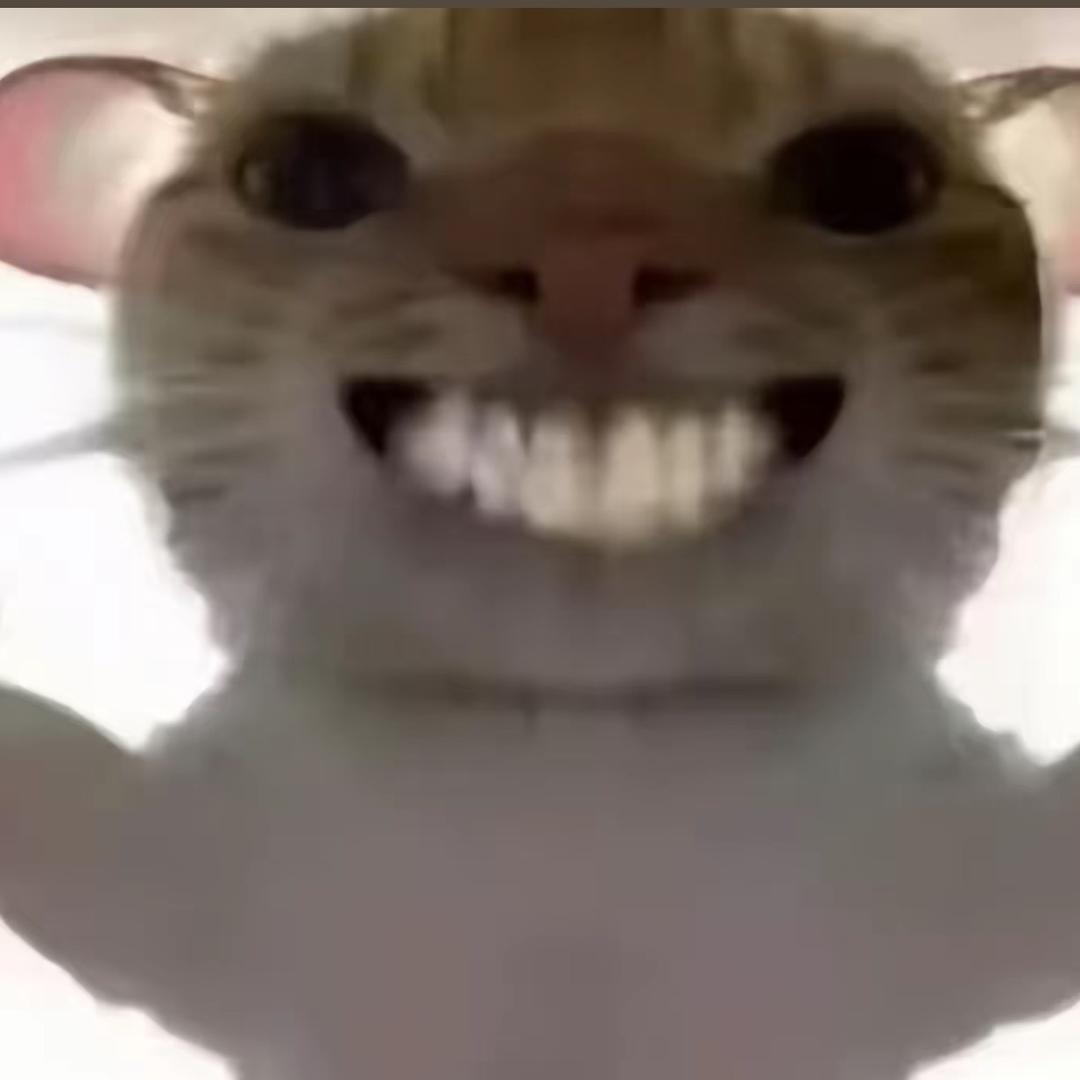 豆豆（三角洲代肝）