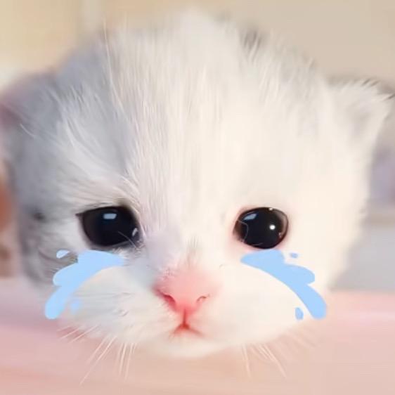 眼泪像断了线的珠子