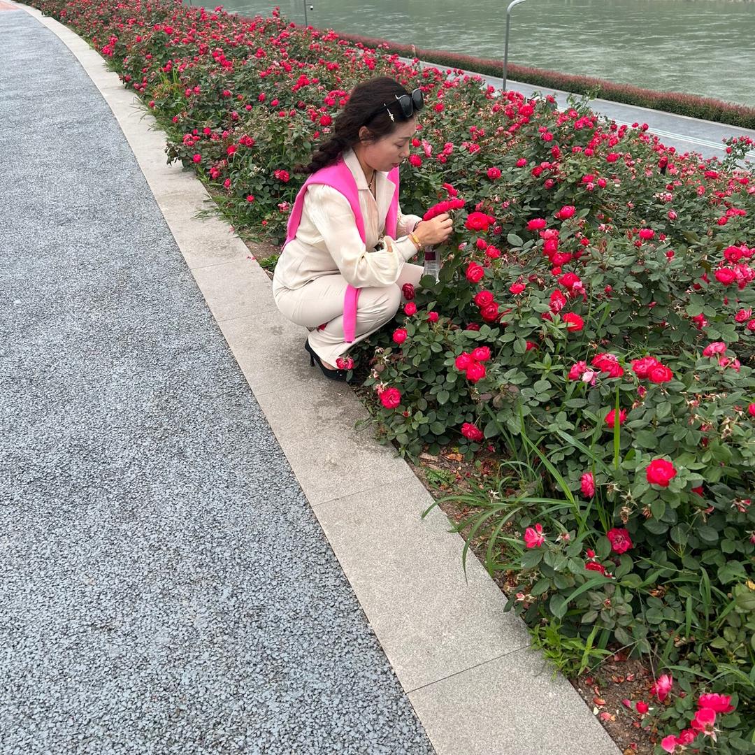 莫说