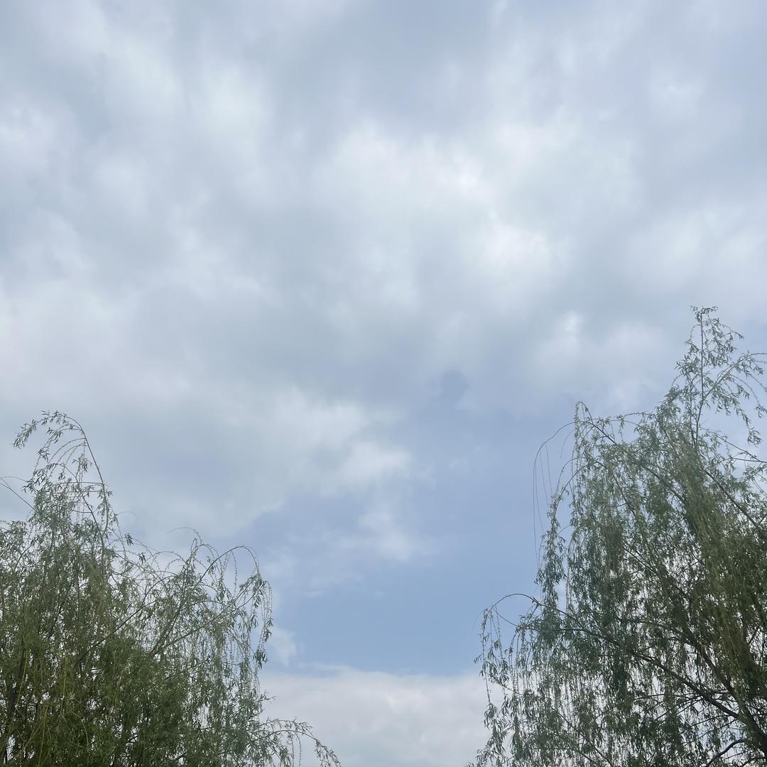 旨褐奢品甄选