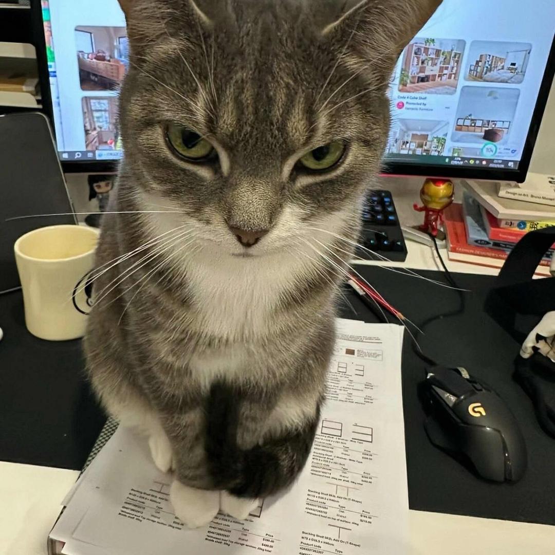 ✌️✌️✌️✌️✌️✌️✌️✌️