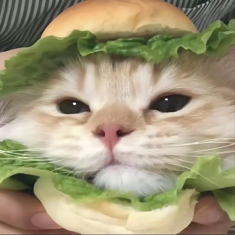 y·