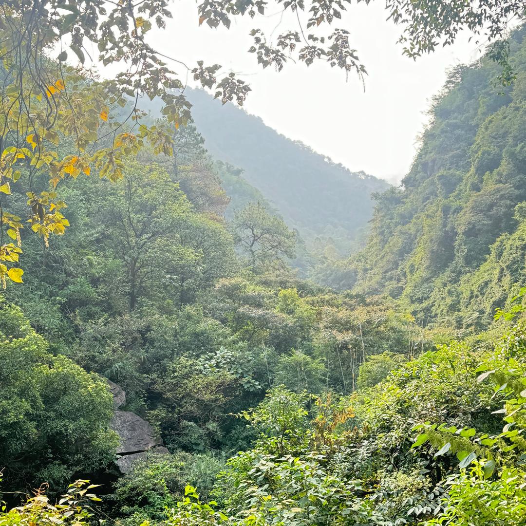 清远市晶臣木业有限公司