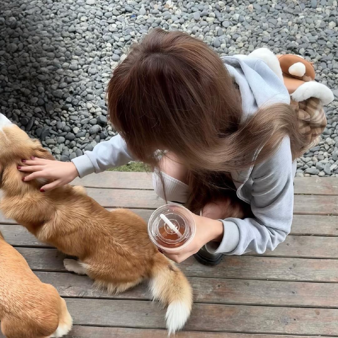 婧.