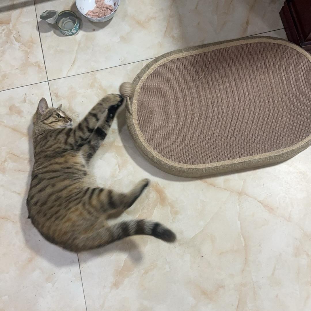 遵义升降机直销