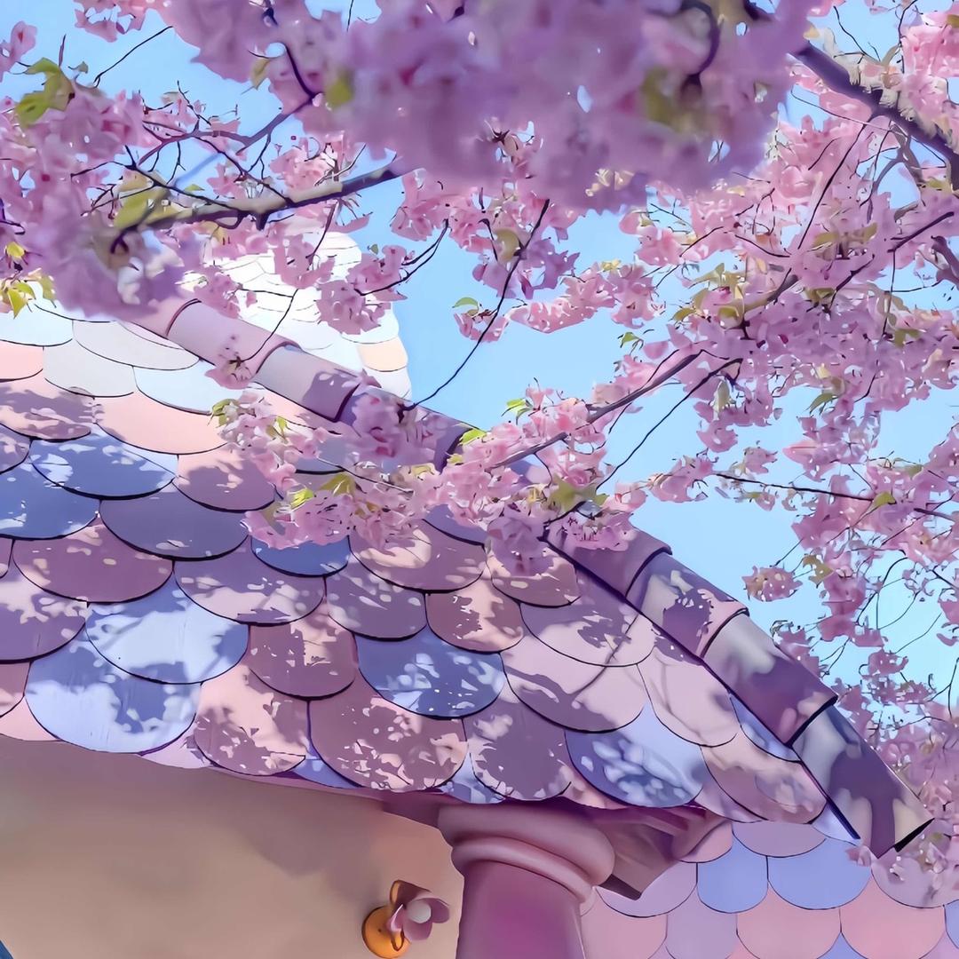 清🦋浅