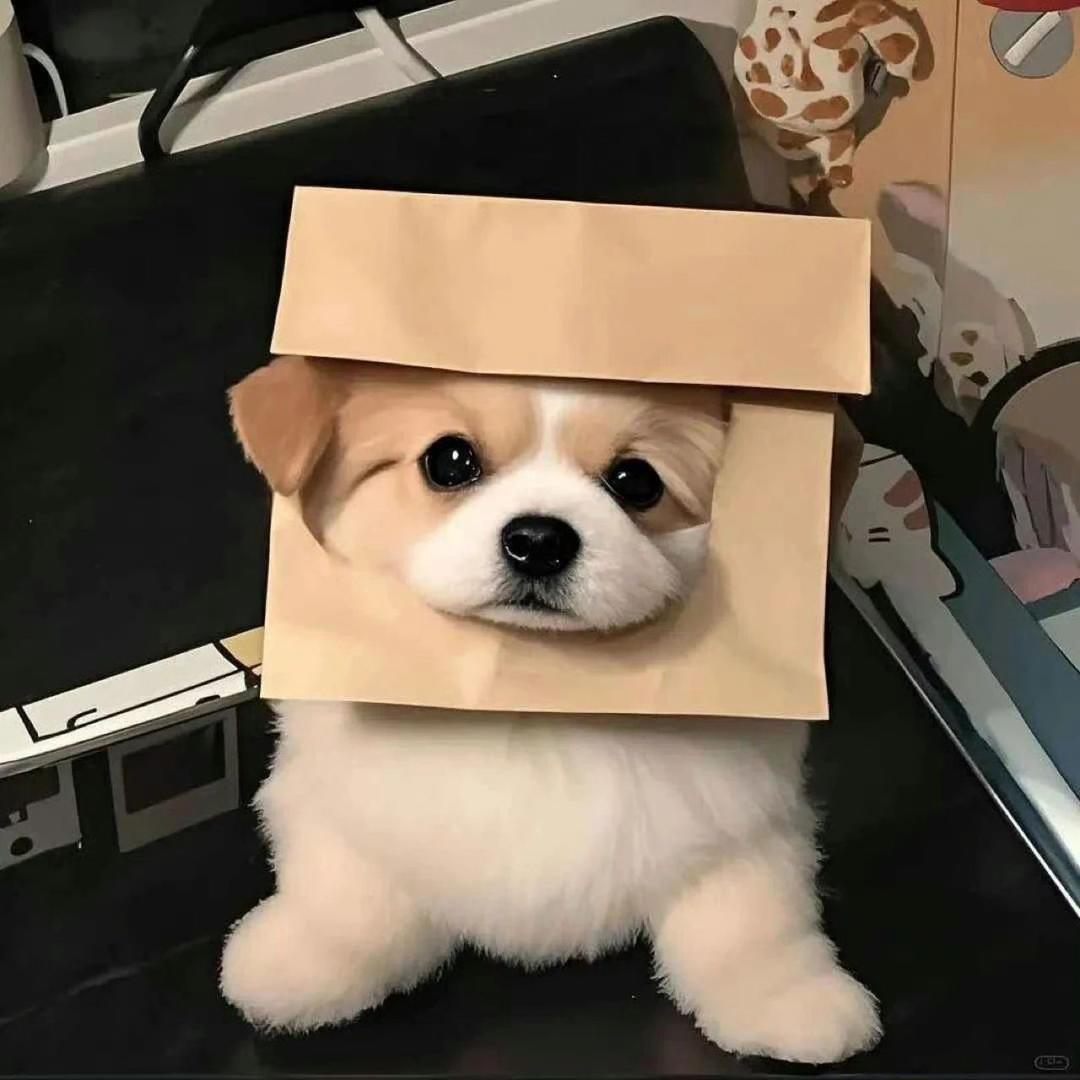 早睡de朋友圈🎨