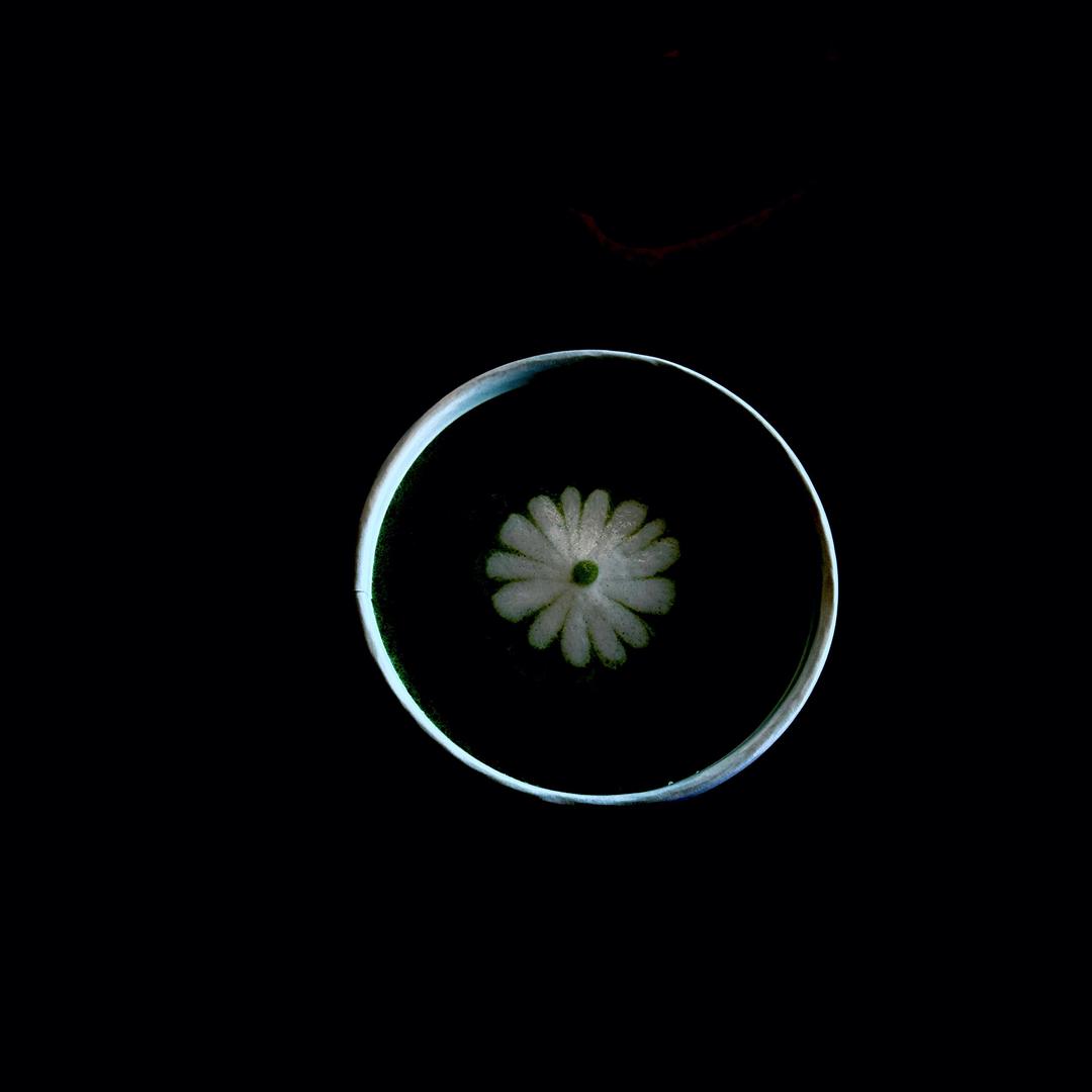 人生重启之创业愣头青