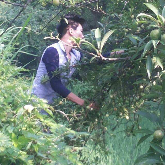 🎋贾大💐业大💕♋️