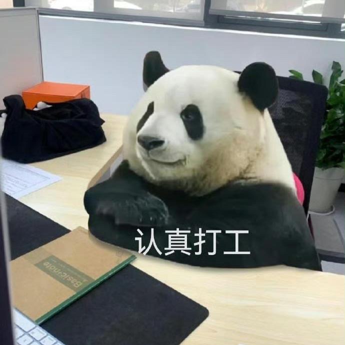 小熊猫猫