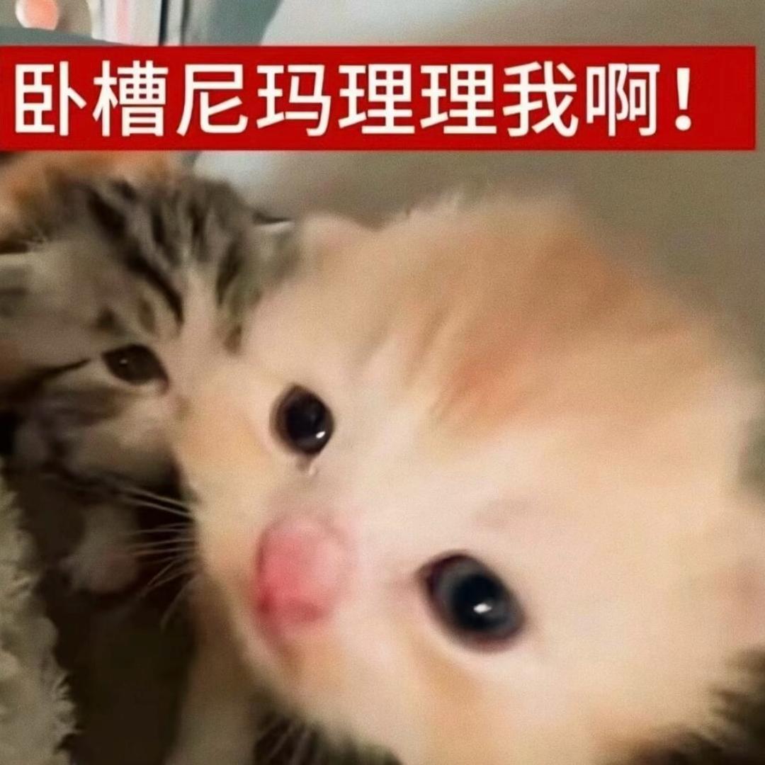 6605