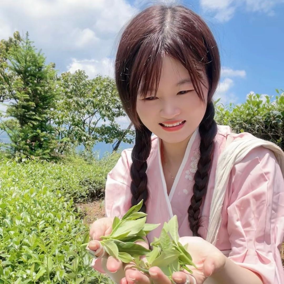 农村梅梅（茶叶）