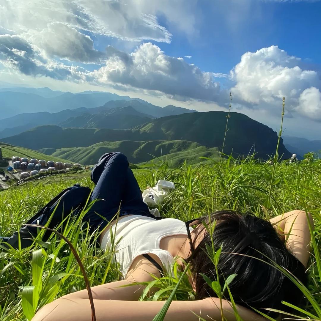小鹅戴眼镜