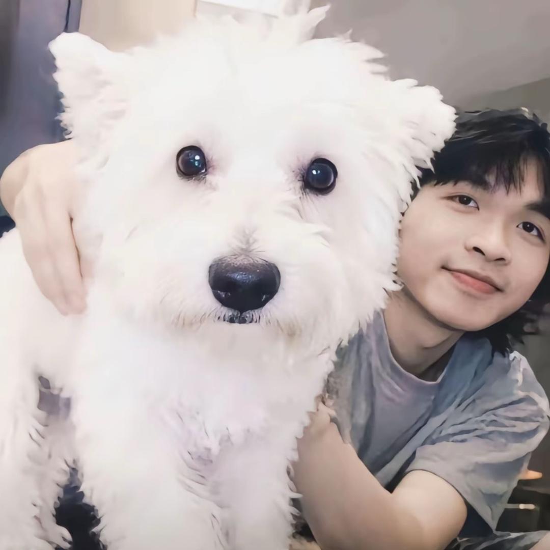 ￴￴ ￴￴ ￴￴￴￴ ￴