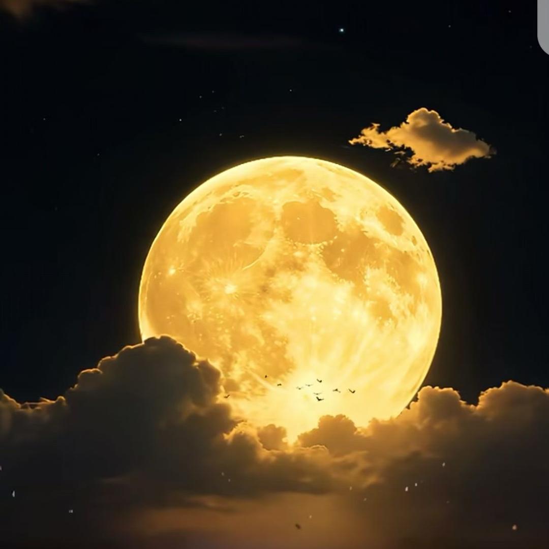 水果拼盘🍓🍓🍎🍎🍏🍏🍒🍒