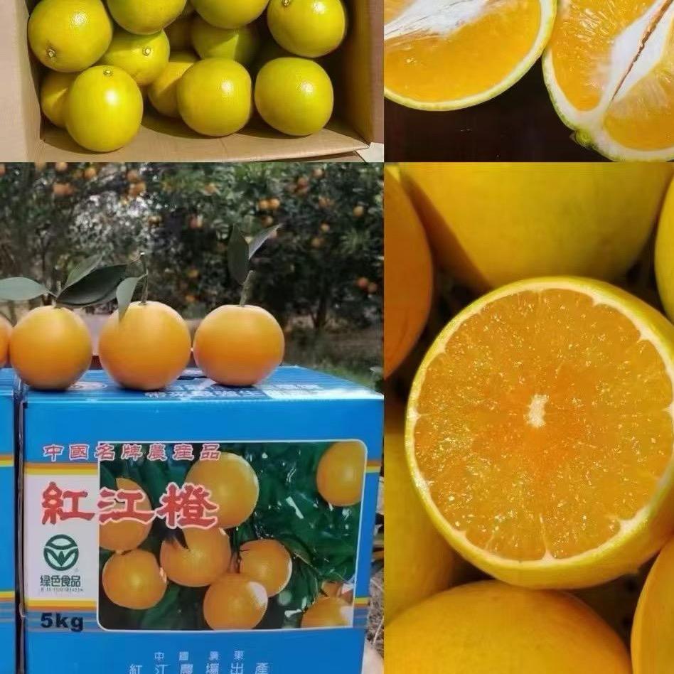 正宗红江橙🍊