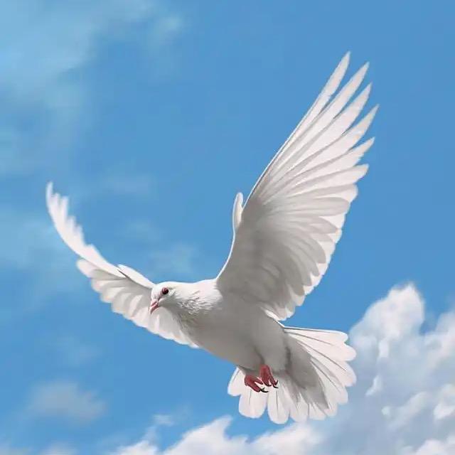 一纸一品～恒聚