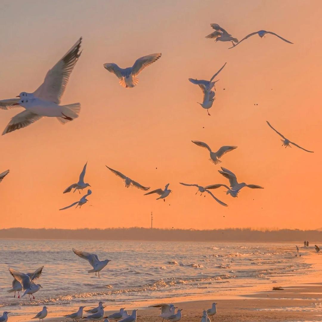 依依高端服饰👔