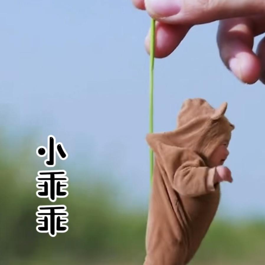 说徐州话的家长圈