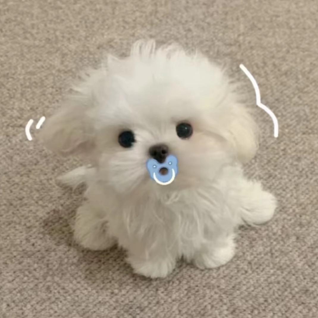 （小熊软糖）