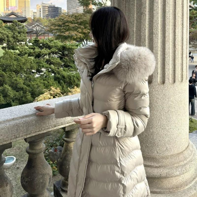 蓝色大芒果