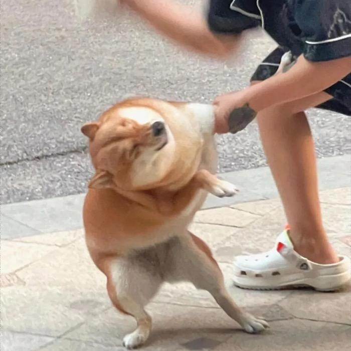 在我消失前