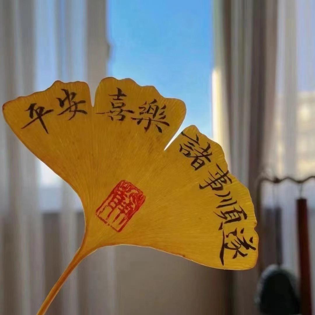 淼淼