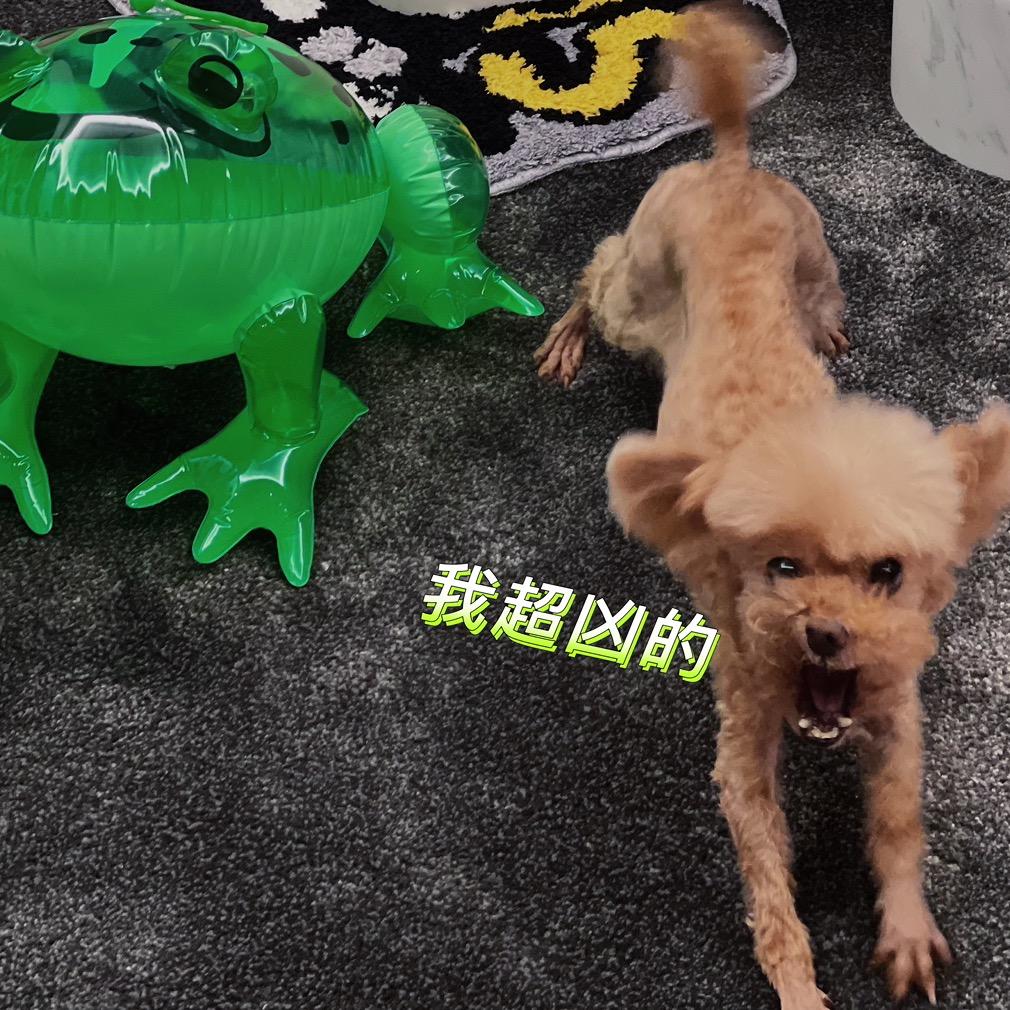 顾凯米