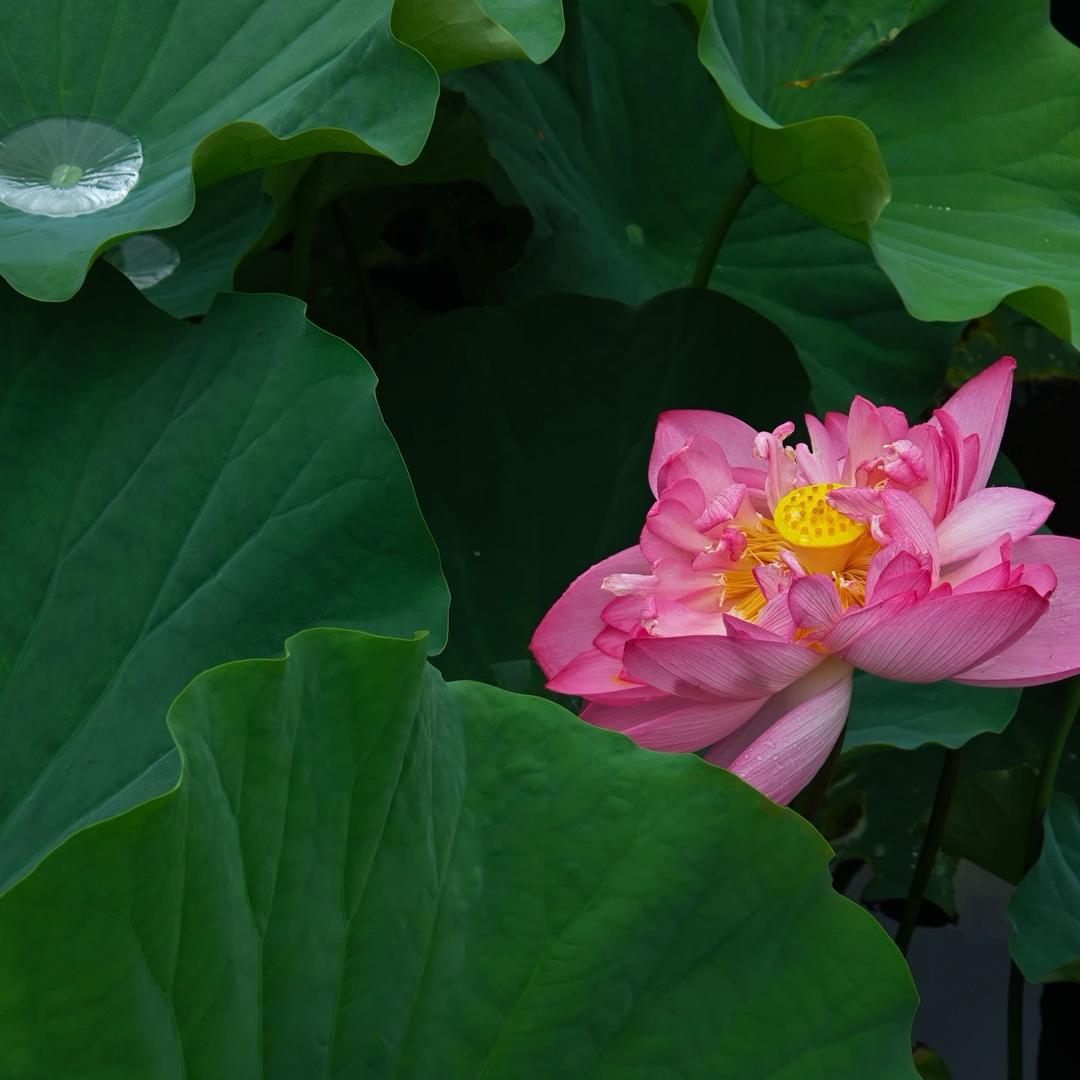 东潭山农业发展有限公司