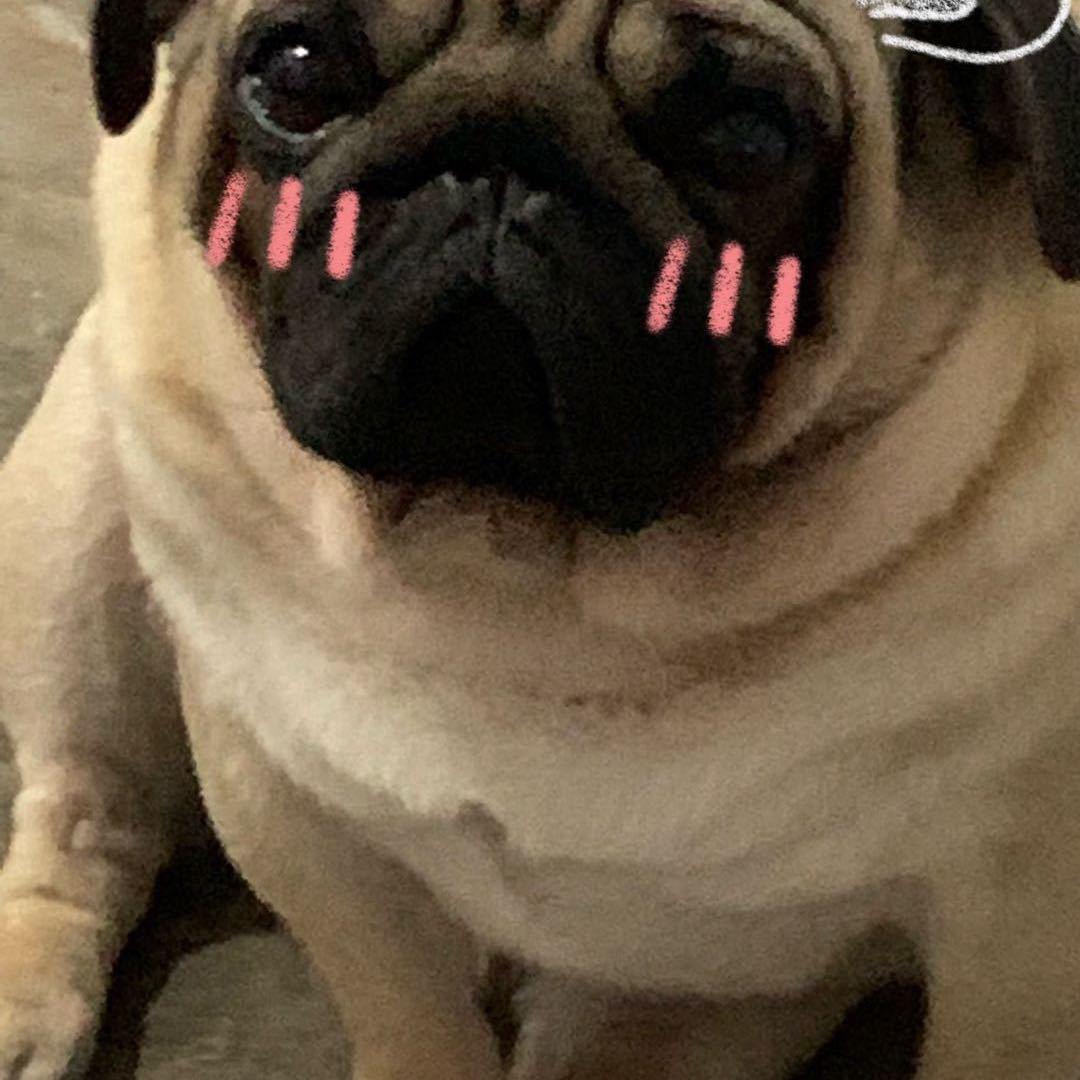 风雨过后彩虹依旧