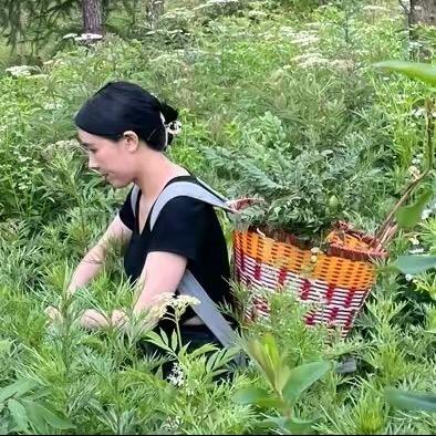 创意设计风格现代