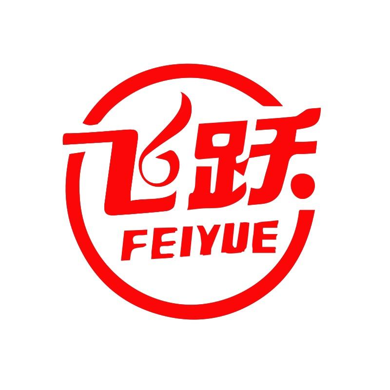 飞跃智品鞋类专卖店