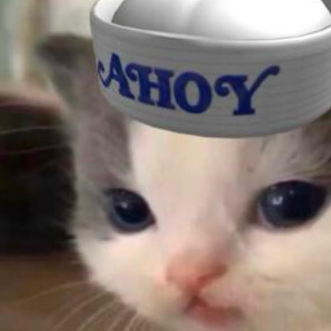小豆丁在干嘛