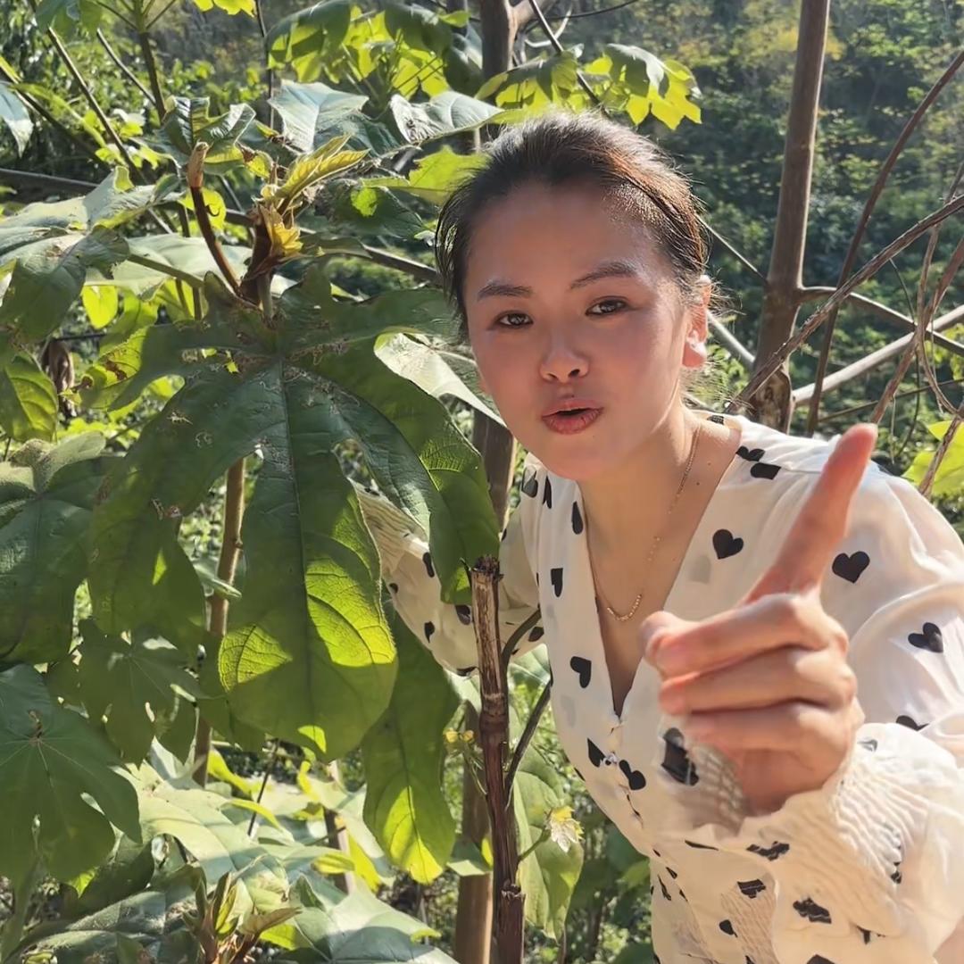 欧阳家族